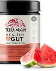 TERRA ORIGIN Healthy Gut Watermelon | 30-Servings with L-Glutamine, Zinc, Glucosamine, Slippery Elm Bark, Marshmallow Root and More!