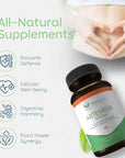 Artemisia Trinity | Cleansing for Adults with Wormwood Herb & Artemisinin 30:1 Extract | Resistance & Digestive Support | Herbal Supplements | Pure, Plant-Based, 90 Caps