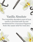 Beekman 1802 Lip Balm, Vanilla Absolute - 0.15 oz - With Goat Milk, Vitamin E & Beeswax for Dry, Cracked Lips - Good for Sensitive Skin - Cruelty Free - Packaging May Vary