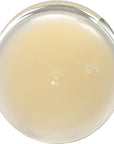 Eco Lips Organic Mongo Kiss Peppermint Organic,