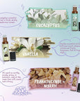 Essential Oils Roll On Gift Set, Natural Aromatherapy Oil Roller for Body, Skin, Massage - Lavender, Peppermint, Frankincense & Myrrh, Eucalyptus, Vanilla, Sandalwood, Gift for Women