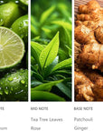 Hotel Diffuser Oil Hope - 120ML Luxury Essential Scent Oils for Cold Air & Waterless Diffusers, Long-Lasting Fragrance Oil for Home, Spa, Office - Premium Aroma Oil Refill, Hotel-Style Air Freshener