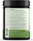 TERRA ORIGIN Healthy Greens Powder, Superfoods, Probiotics, Enzymes, Immune & Digestive Support, Energy & Wellness Boost, Gut Health, 30 Servings (1-Pack, Tropical Passionfruit)