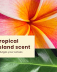 Hawaiian Tropic Everyday Active Lotion Sunscreen SPF 50, 8oz | Hawaiian Tropic Sunscreen SPF 50, Sunblock, Broad Spectrum Sunscreen, Oxybenzone Free Sunscreen, Water Resistant Sunscreen, 8oz