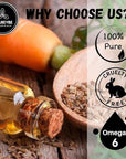 Naturevibe Botanicals Carrot Oil 32 Ounces | 100% Pure and Natural | Great for Skin Care and Hair Care