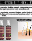 Herbal Gray Hair Spray, Gray Hair Verse Hair Darkening Conditioner Spray, Reverse Grey Hair Coloring Essence for 4 Weeks Gradual Results, 100ML