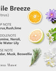 Aroma Diffuser Oil - Nile Breeze | Inspired by JW Marriott Hotel Scent | Hotel Fragrance Oil Essential Oil Blend for Aromatherapy Machines | Citrus, Jasmine & Cedarwood | for Large Rooms | 5.3 fl oz