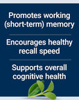 Life Extension Neuro-Mag Magnesium L-Threonate Powder (Tropical Punch) - Ultra-Absorbable - Supports Memory, Focus, Cognitive Function & Mood - Gluten No, Non-GMO, Vegetarian (30 Servings)