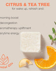 Shower Steamers Aromatherapy - USA Made with Natural Ingredients & Citrus Essential Oil, Long Lasting Shower Bombs for Energy Boost, Gift Set for Women & Men, Spa Gifts & Shower Accessories