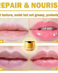 2PCS Bee Lip Balm Honey Pot