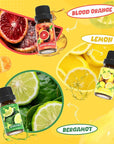 Citrus Essential Oils Set, Fragrance Oil Set for Diffuser, Scent Diffuser Oil for Candle Making- Blood Orange, Lemon, Bergamot, Lime, Grapefruit, Citrus