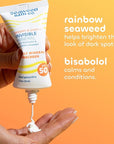 Seaweed Bath Co. Smooth & Protect Invisible Mineral SPF 50 Zinc Oxide Face Sunscreen Gel, 1.7 Oz., Unscented Lightweight Facial Moisturizer Primer