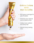 MOEHAIR Hair Coloring Kit | 6NN Permanent Hair Color (Dark Blonde Intense), 20 Volume Developer 6%, Coloring Brush, Gloves & Mixing Bowl | Keratin Infused | Gray Coverage | Adds Shines & Softness