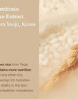I'm from Rice Toner, Milky Toner for Glowing Skin, Korean Rice, Glow Essence with Niacinamide, Hydrating for Dry, Dull, Combination Skin, Vegan, Fragrance Free, Glass Skin 5.07 Fl Oz