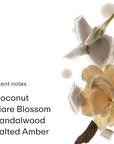 PHLUR Coconut Skin Body Mist - Hair & Body Mist Fragrance - Coconut Body Spray with Caramel, White Florals, Sandalwood & Amber (8 Fl Oz)