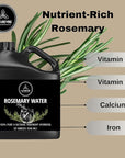 Naturevibe Botanicals Rosemary Water 32 Ounces | 100% Pure and Natural | Great for Skin Care and Hair Care