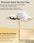 Salon Tray Hairdresser Tray on Wheels Hair Tray for Hair Stylist Gold