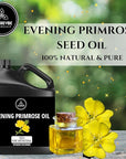 Naturevibe Botanicals Evening Primrose Oil 32 Ounces | 100% Pure and Natural | Great for Skin Care and Hair Care