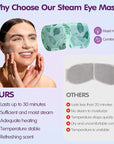 60 pcs disposable steam eye