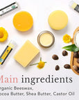 Natural Lip Balm Chapstick Pack - 12 Chap
