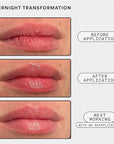 Experiment Softwear Smoothing Lip Treatment - 24hr Hydration with Squalane, Glycerin & Pomegranate Sterols - Intensive Moisture & Repair for Extra Dry, Flaky Lips - Vegan Lip Balm, .34 FL OZ