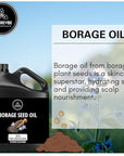 Naturevibe Botanicals Borage Oil 32 Ounces | 100% Pure and Natural | Great for Skin Care and Hair Care
