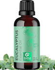 Pure Eucalyptus Essential Oil for Diffuser - Natural Eucalyptus Aromatherapy Diffuser Oil for Scalp Hair Skin and Nails - Undiluted Eucalyptus Essential Oils for Diffusers for Home and Self Care