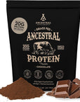 Ancestral Supplements Grass Fed Protein Powder, Chocolate, Beef Bone Broth Based w/Beef Organs & Organic Mushrooms, Gut Health Support, High Protein Supplement, 20g Protein Per Serving, 30 Day Supply