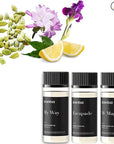 Scentia My Way Hotel Diffuser Oil | Aromatherapy Fragrances Inspired by 5-Star Hotels | Luxurious Scents Gift Box Set - 3 x 50ml - The 1 Hotel Miami Beach, W Magic - Thanksgiving & Holiday Gift