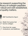Momentous Grass-Fed Collagen Peptides Powder - Collagen Protein Powder with Fortigel & Vitamin C for Hair, Skin, Nails, & Joint Health Support - NSF Certified for Sport - Packaging May Vary