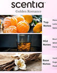 Love Collection Fragrance Oil Set – Essential Oil Blends for Diffusers, Candles & Soaps – Jasmine, Rose, Citrus, Amber & Musk – Made in USA, Phthalate-Free – Holiday Gift Set 3×20ml (2.03 fl oz)