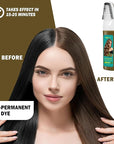 Brown Hair Dye,Hair Dye Shampoo for Women,Hair Color for Gray Hair Coverage Permanent,Comb Dyeing Champu Para CanasHair Dye 4 in 1 With Comb Herbal Natural Plant Hair Color Shampoo(Brown)