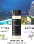 Scentia Hotel Diffuser Oil | Aromatherapy Fragrances Inspired by 5-Star Hotels | Luxurious Scents Gift Set - 3 x 20ml Bottles Set - The 1 Hotel Miami, W Hotels - Thanksgiving & Holiday Gift
