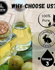 Naturevibe Botanicals Amla Oil 32 Ounces | 100% Pure and Natural | Great for Skin Care and Hair Care