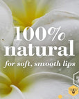 Burt's Bees Lip Balm - Coconut and Pear, Lip Moisturizer With Responsibly Sourced Beeswax, Tint-Free, Natural Origin Conditioning Treatment, 2 Tubes, 0.15 oz.