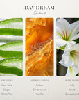 Scentiment Diffuser Oil - Day Dream | Inspired by Westin® Hotel White Tea Scent | Aromatherapy Home Fragrance| Luxurious Scent with Notes of Aloe Vera, Cedar, White Tea (500 mL)