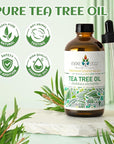 EVOKE OCCU 100% Pure Tea Tree Oil, for Skin, Face, Toenails, Add to Body Wash, Soap, Foot Soak - 4 FL Oz
