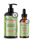Mielle Organics Rosemary Mint Strengthening Hair Oil and Shampoo
