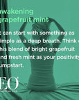 EO Shampoo and Conditioner Combo Pack, 16 Ounce Bottles (1 of Each), Grapefruit and Mint, Organic Plant Based, Hydrating & Smoothing For All Hair Types