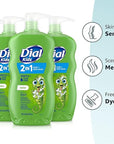Dial Kids 2-in-1 Body+Hair Wash, Melon Scent, 24 fl oz (Pack of 4)