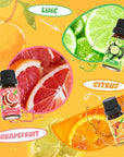 Citrus Essential Oils Set, Fragrance Oil Set for Diffuser, Scent Diffuser Oil for Candle Making- Blood Orange, Lemon, Bergamot, Lime, Grapefruit, Citrus