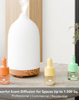 Essential Oil Set for Diffuser Hotel Fragrance Gift Set | Aromatherapy Diffuser Oil | Inspired by of The Ritz Carlton, Marriott, Fairmont and Baccaratt Signature Scents, Total 18 Bottles for Home