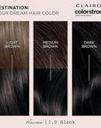 Clairol ColorStrong Permanent Zero Ammonia Hair Dye, 1.0 Black - Hawaii Hair Color, Pack of 1