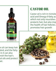 Jamaican Black Castor Oil - 100% Pure Organic Cold Pressed for Hair Growth, Eyelash/Eyebrow Serum, Scalp and Nail Care, Glass Bottle (2.02 Fl Oz) (small, castor)