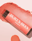 Burt's Bees Lip Tint Balm with Long Lasting 2 in 1 Duo Tinted Balm Formula, Color Infused with Deeply Hydrating Shea Butter for a Natural Looking Buildable Finish, Raspberry Zinnia (2-Pack)