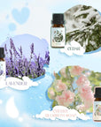 Laundry Fragrance Oils Set, Essential Oil for Diffuser, Aromatherapy Gift, Clean Scent Diffuser Oil, Use with Wool Dryer Balls,Chamomile, Fresh Cotton, Sage, Cedar, Lavender, Cherry Soap