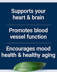 Life Extension Super Omega-3 EPA/DHA Fish Oil, Sesame Lignans & Olive Extract – Heart Health, Brain Health, Inflammation Health Support, Gluten-Free, Easy to Swallow, Non-GMO, 240 Softgels