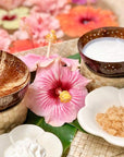 Pure Fiji Spa Gifts for Women and Man - Body Gift Box Include: Sugar Scrub, Bath and Body Oil, Body Butter and Body Lotion, Scent Mango