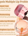 2PCS Strawberry Sleeping Lip Mask,Bee Lip Wrinkle