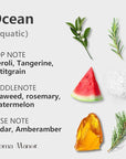Aroma Diffuser Oil - Ocean - Aroma Fragrance Diffuser Oils, Aromatherapy Scents Neroli, Watermelon & Amber, Long-Lasting Air Fresheners, Enjoy Essential Oil Infused Atmosphere - 5.3 fl oz (150mL)